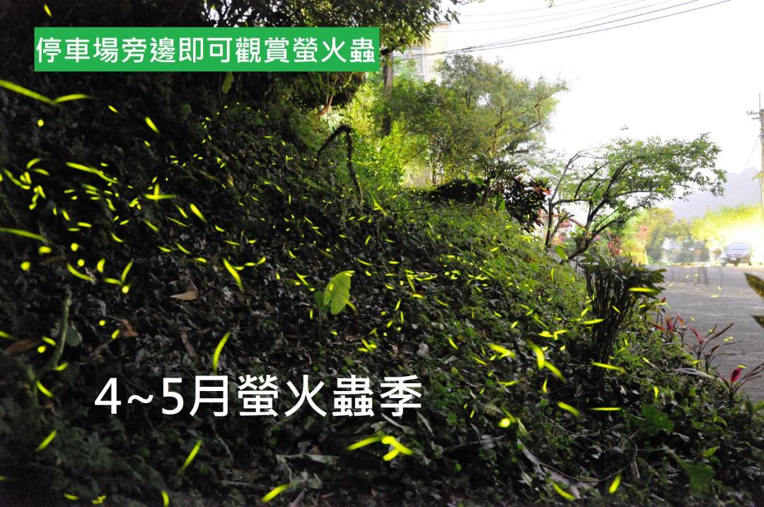 Photo of Outdoor in Pingxi District