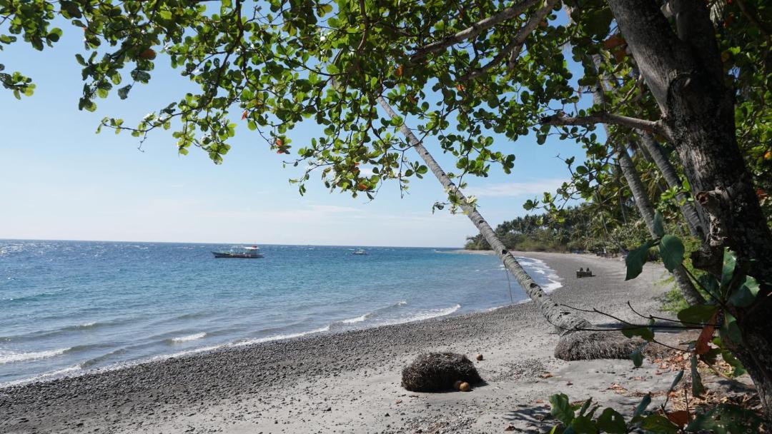 Photo of Others in Zamboanguita