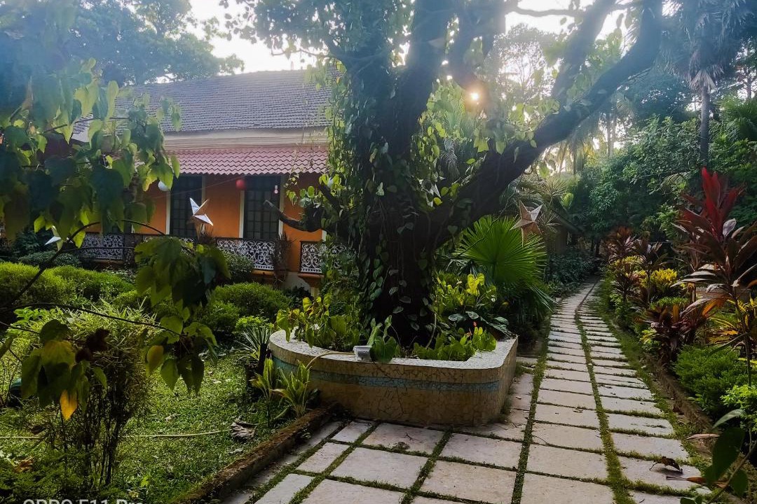 Photo of Others in Cansaulim