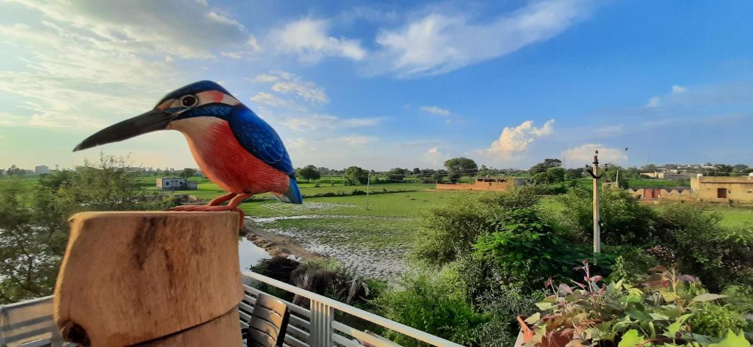 Photo of Others in Bharatpur