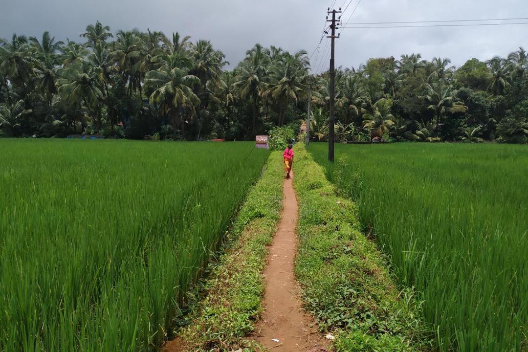 Photo of Others in Gokarna