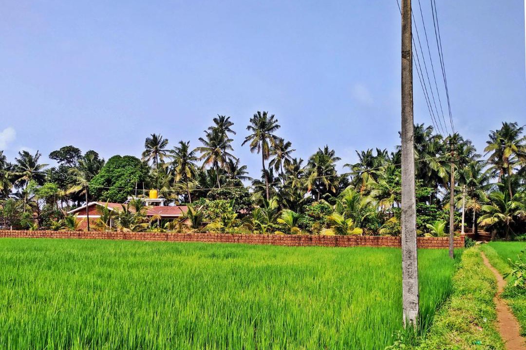 Photo of Others in Gokarna