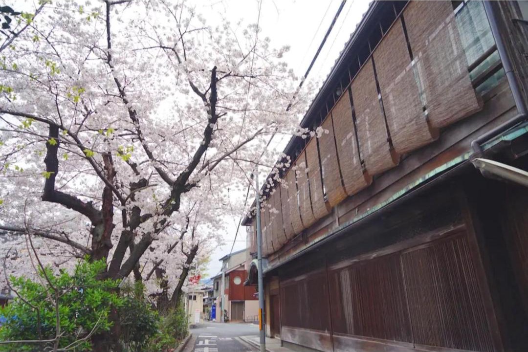 Photo of Buildings in Shimogyo