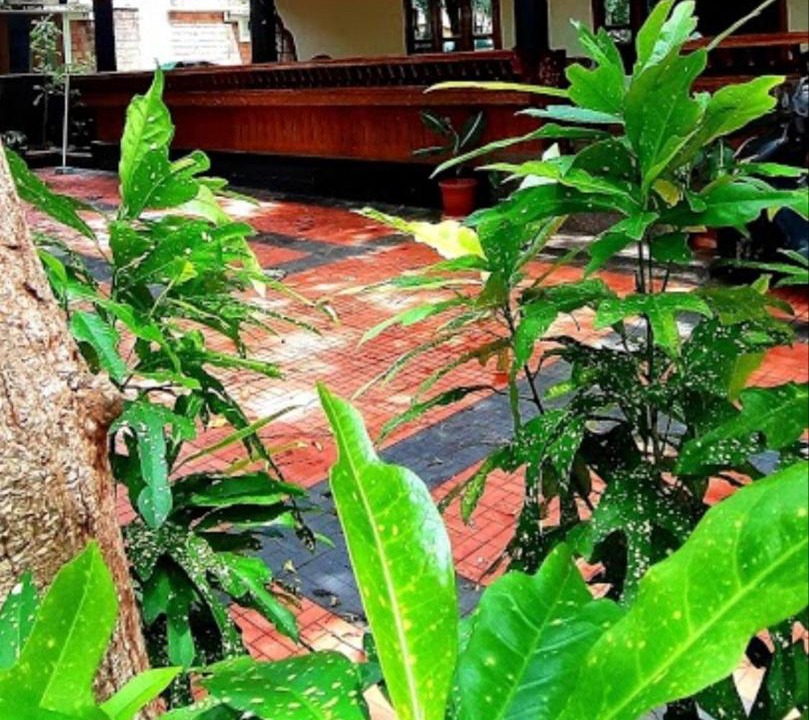 Photo of Buildings in Varkala
