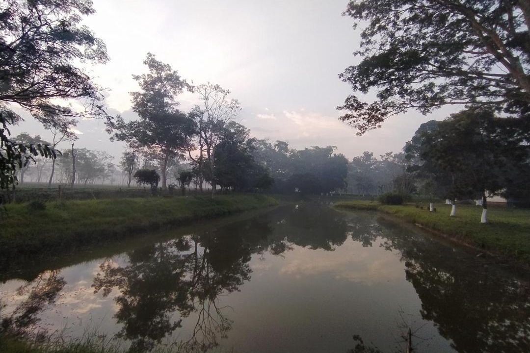 Photo of Others in Jorhat