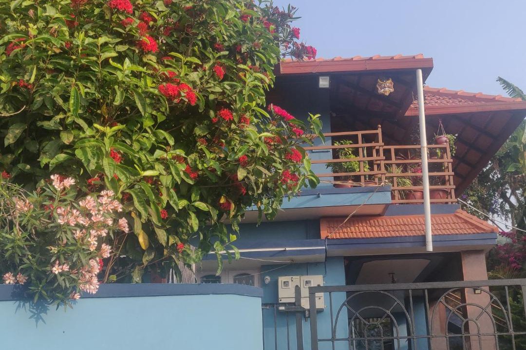 Photo of Buildings in Madikeri