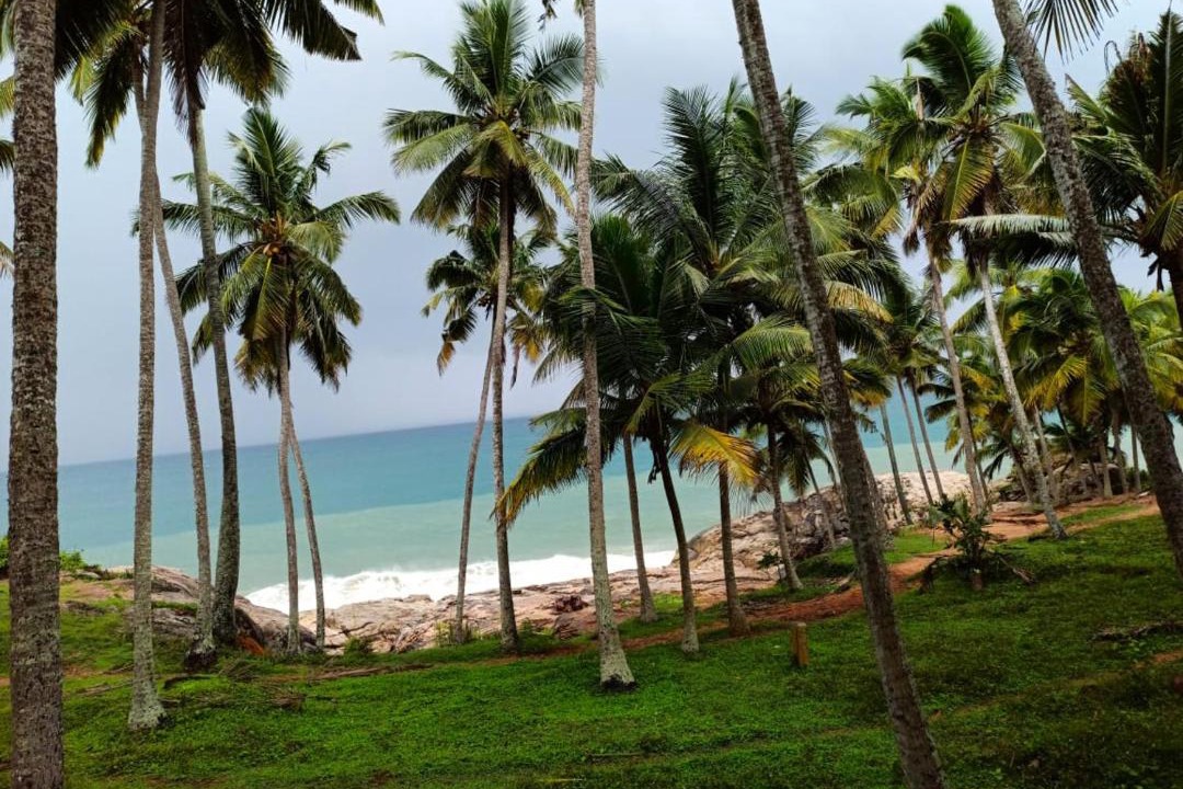 Photo of Others in Chowara