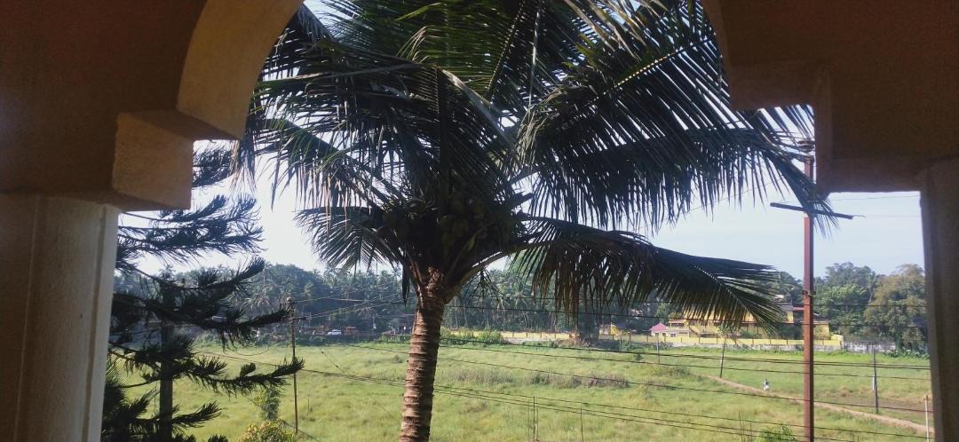 Photo of Others in Sainagar