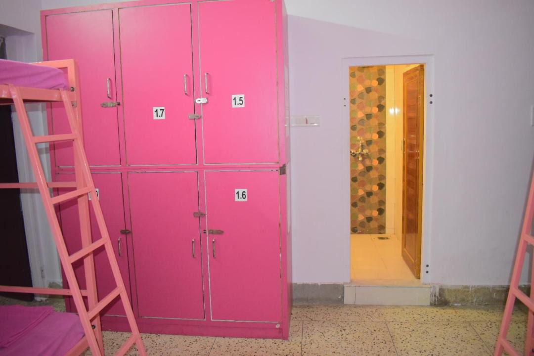 Photo of Others in Pink City