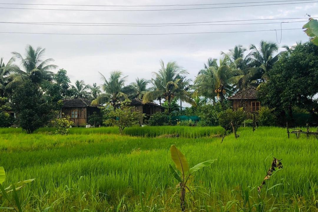 Photo of Others in Saligao