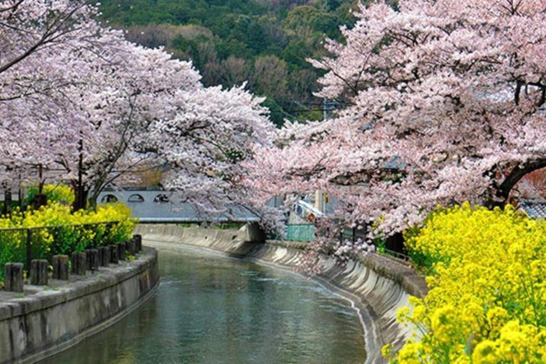 Photo of Others in Yamashina