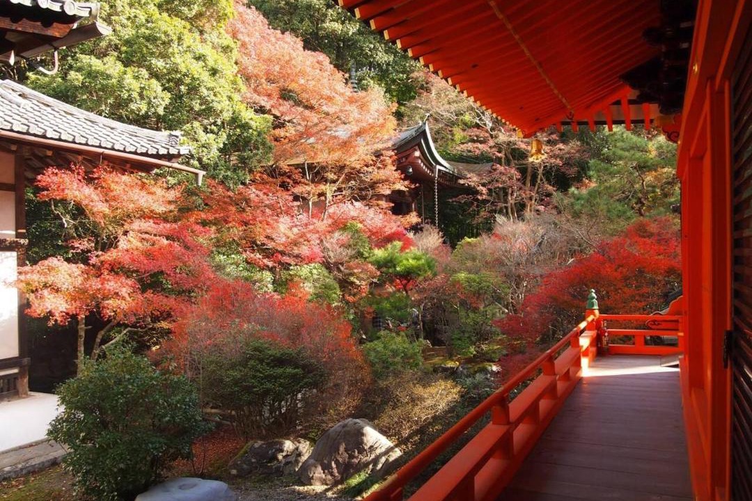 Photo of Patio Balcony in Yamashina