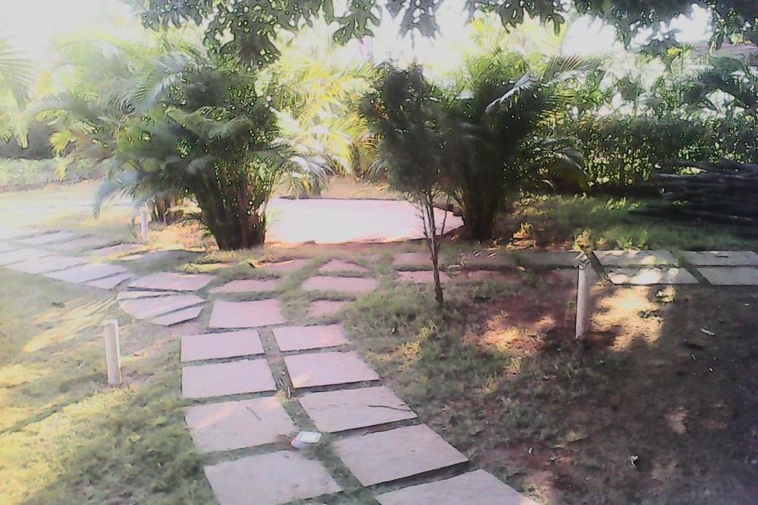 Photo of Others in Kadadhe
