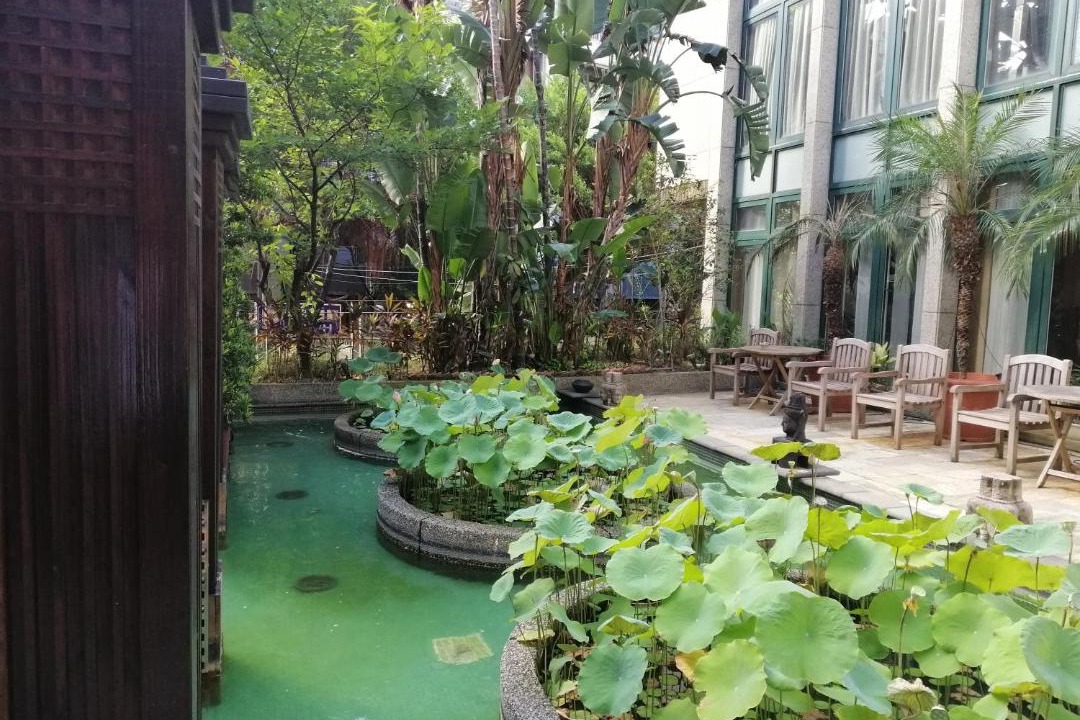 Photo of Others in Beitou