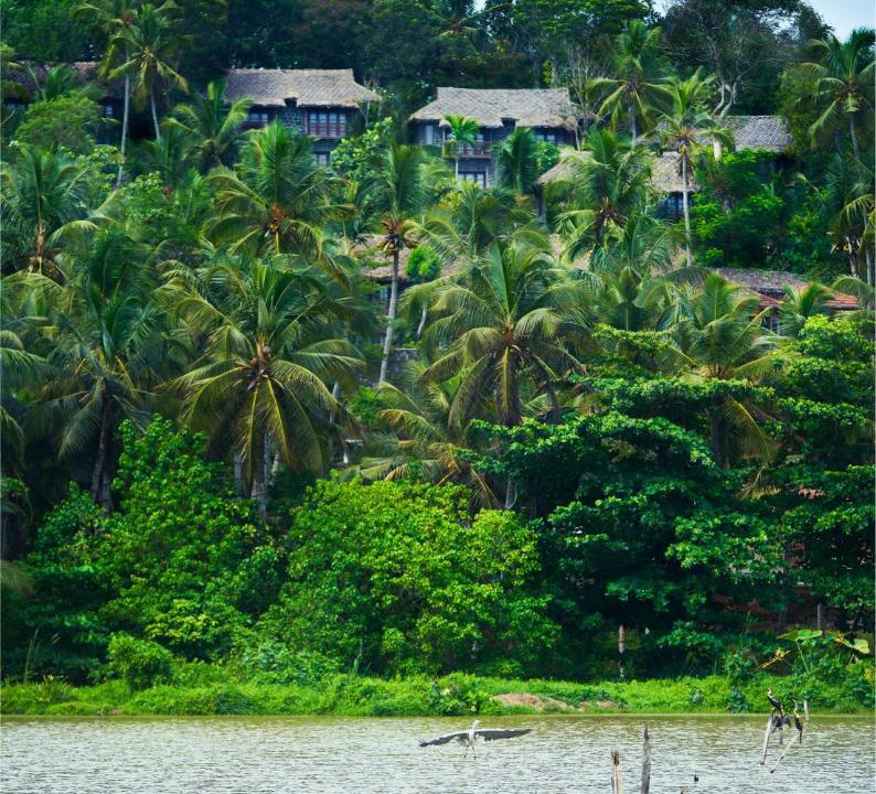 Photo of Others in Kovalam