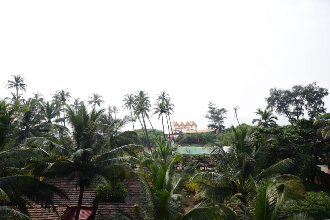 Photo of Others in Mandrem