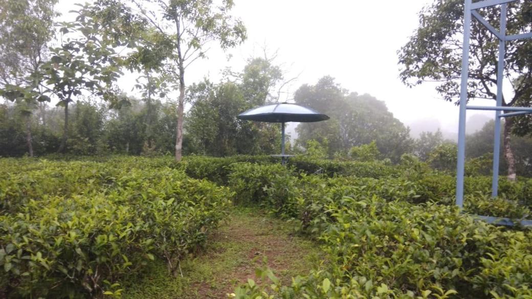 Photo of Others in Vagamon