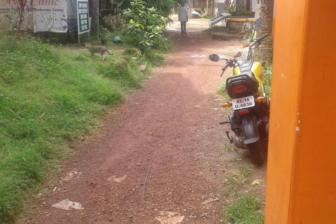Photo of Others in Varkala