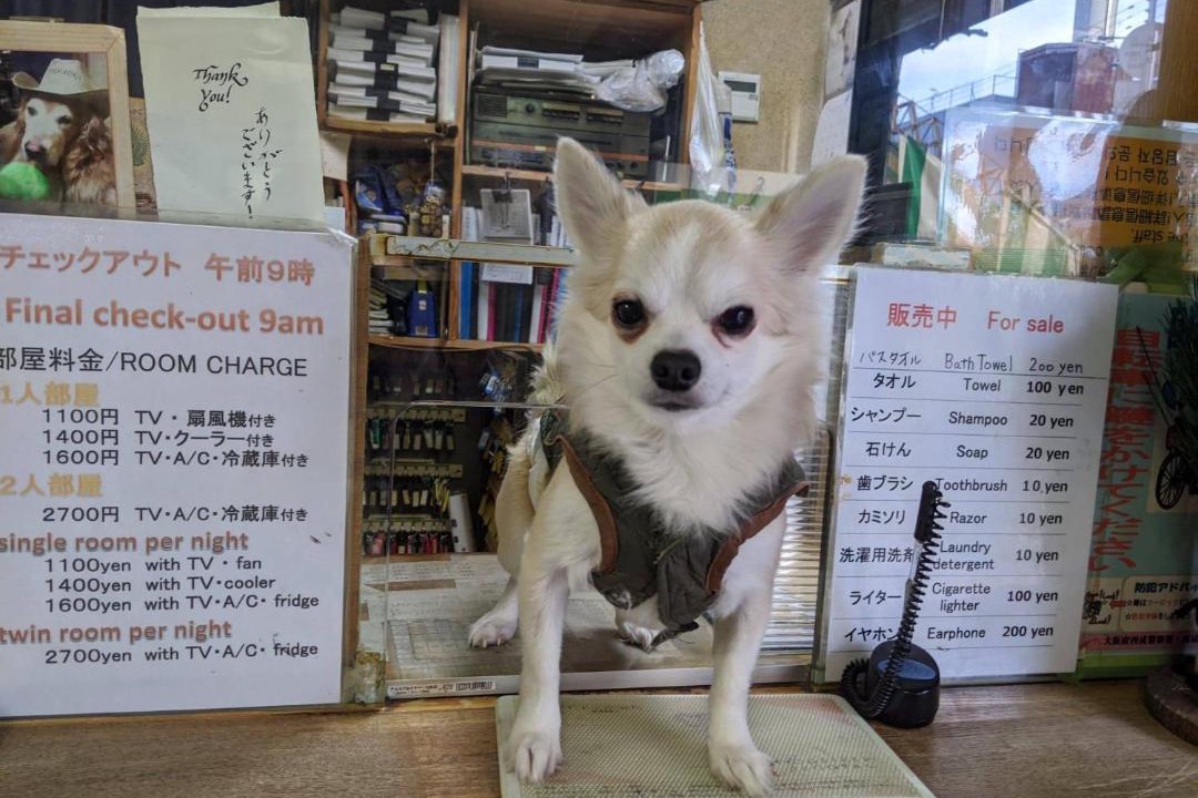 Photo of Others in Nishinari
