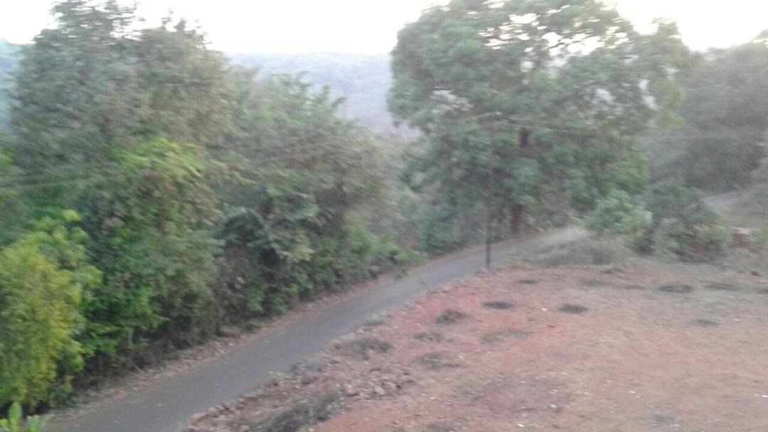 Photo of Others in Ratnagiri