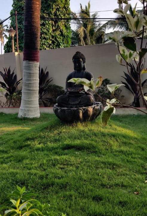 Photo of Others in Arambol