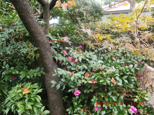 Photo of Others in Hirakata