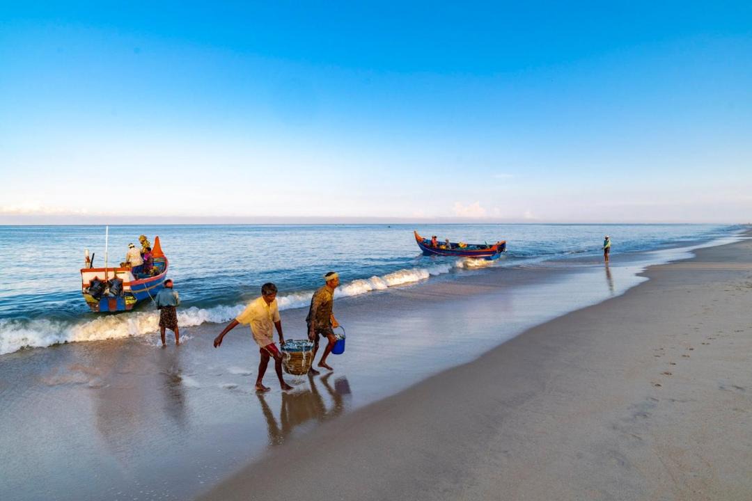 Photo of Others in Mararikulam