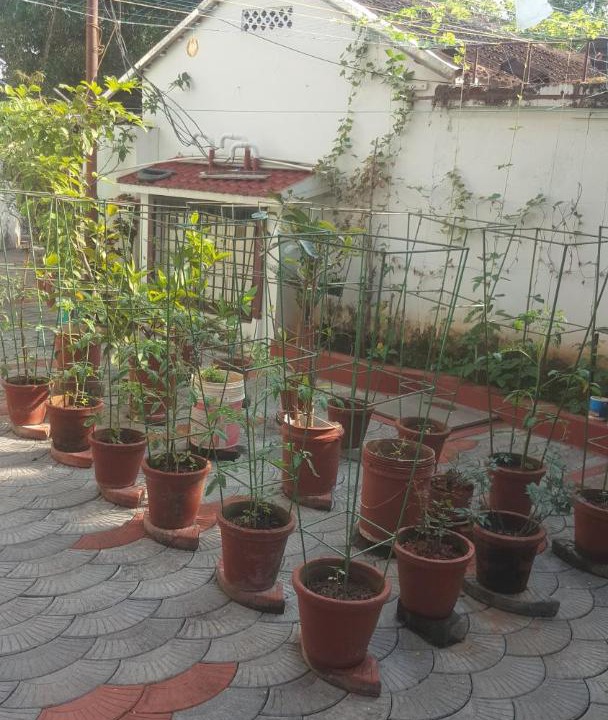 Photo of Others in Fort Kochi