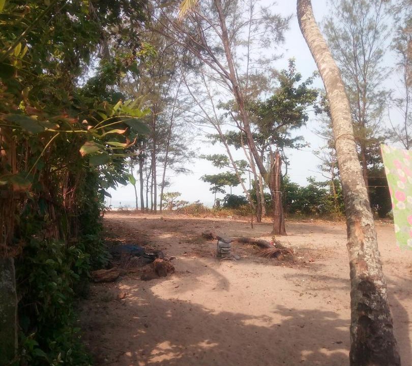 Photo of Outdoor in Alappuzha