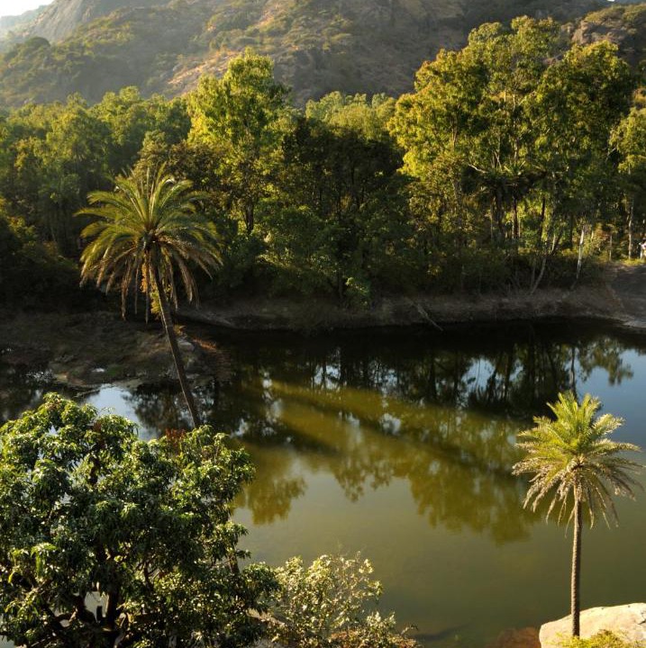 Photo of Others in Mount Abu