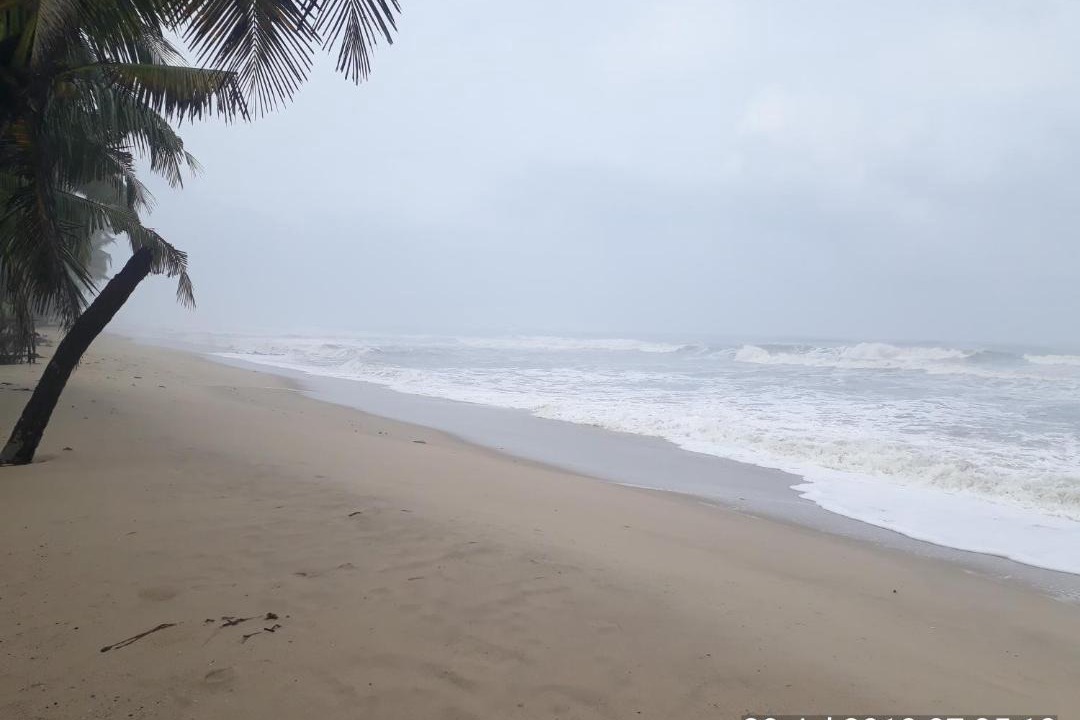 Photo of Others in Cherthala