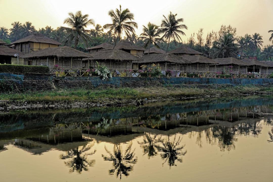 Photo of Others in Mandrem
