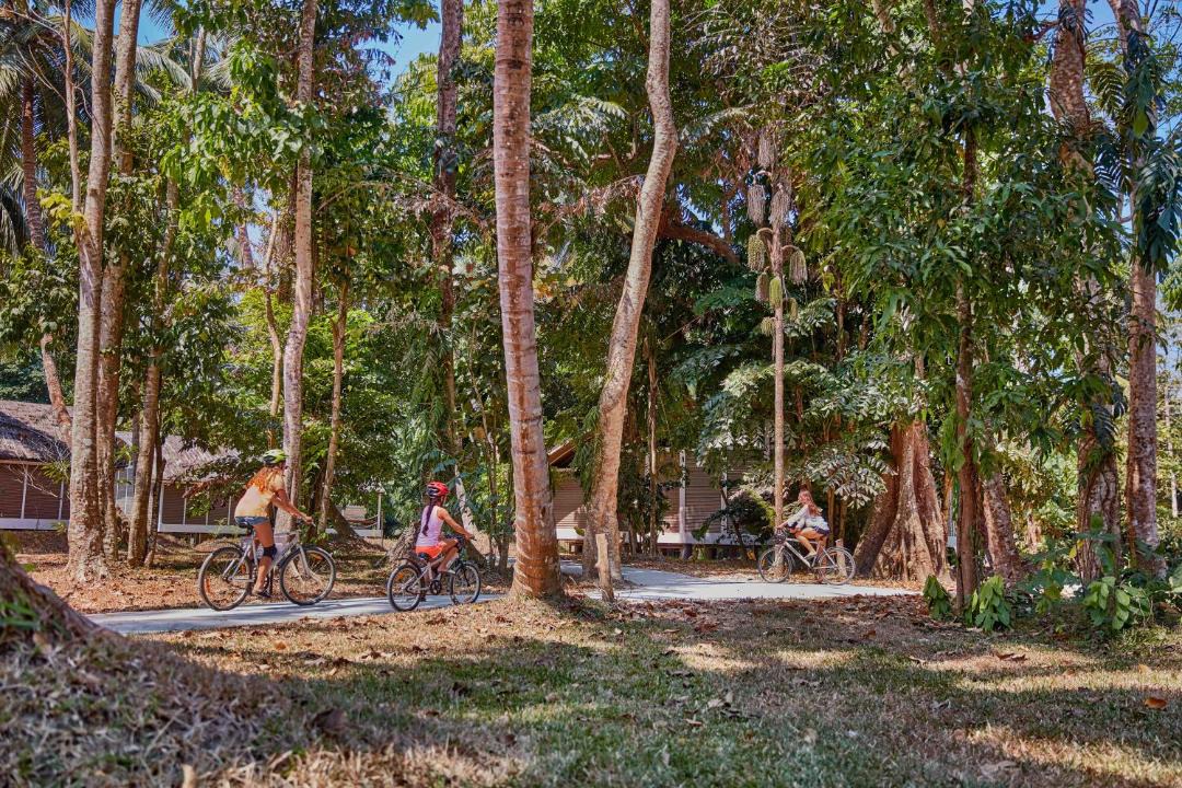Photo of Others in Havelock Island