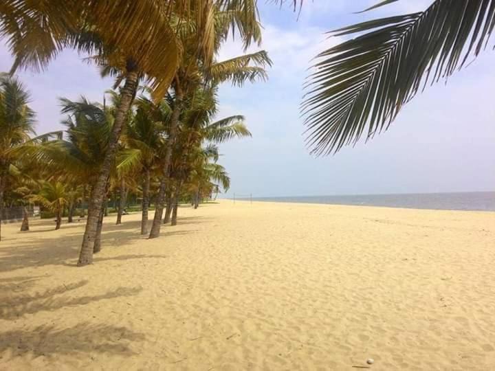 Photo of Others in Cherthala