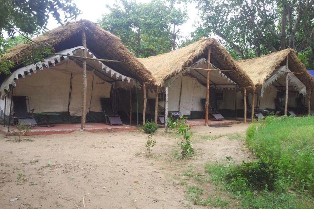 Photo of Buildings in Konark