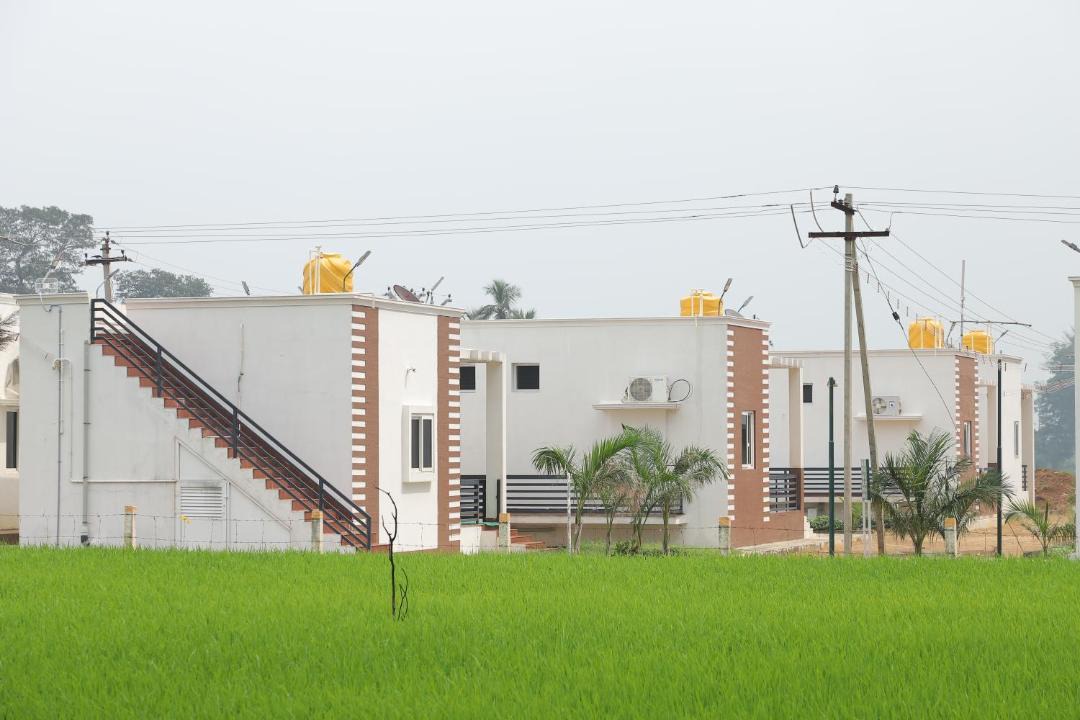 Photo of Others in Tenkasi