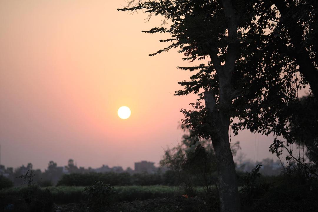 Photo of Others in Bodh Gaya