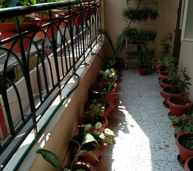 Photo of Patio Balcony in Patna