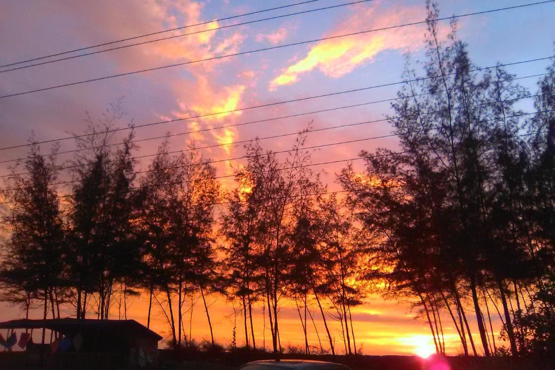 Photo of Outdoor in Kuzhuppilly