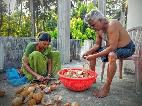 Photo of Others in Kumarakom