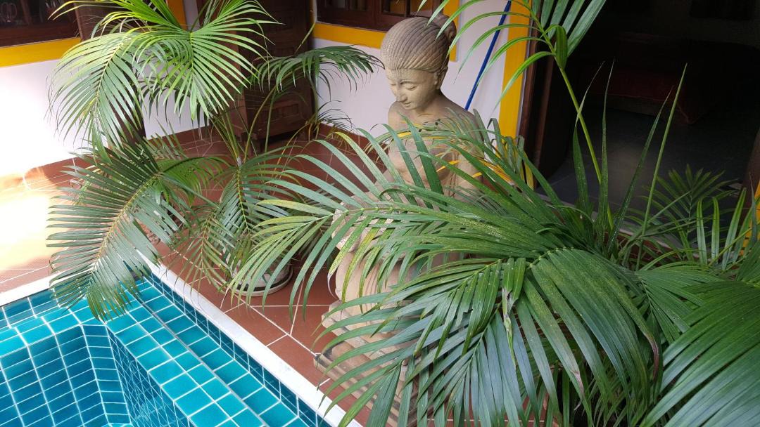 Photo of Outdoor in Siolim