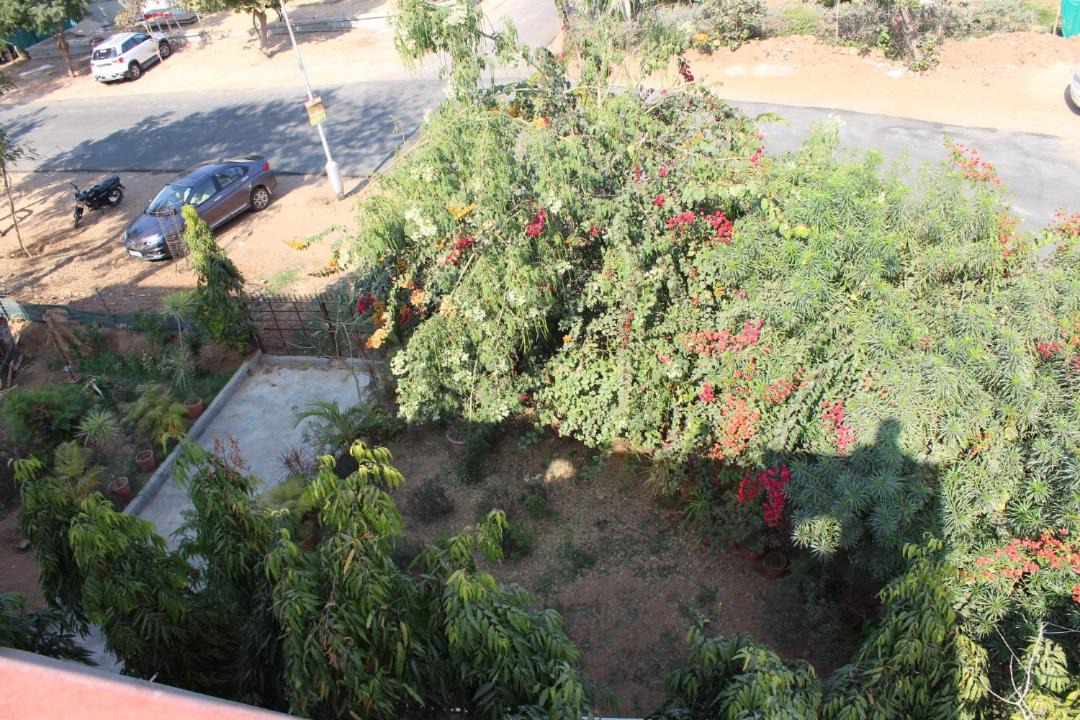 Photo of Others in Gandhinagar