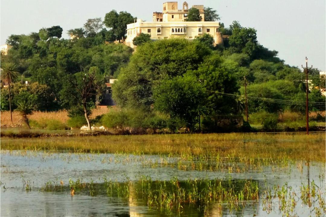 Photo of Others in Udaipur