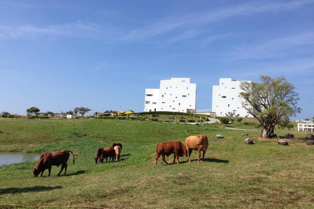 Photo of Buildings in Shanhai
