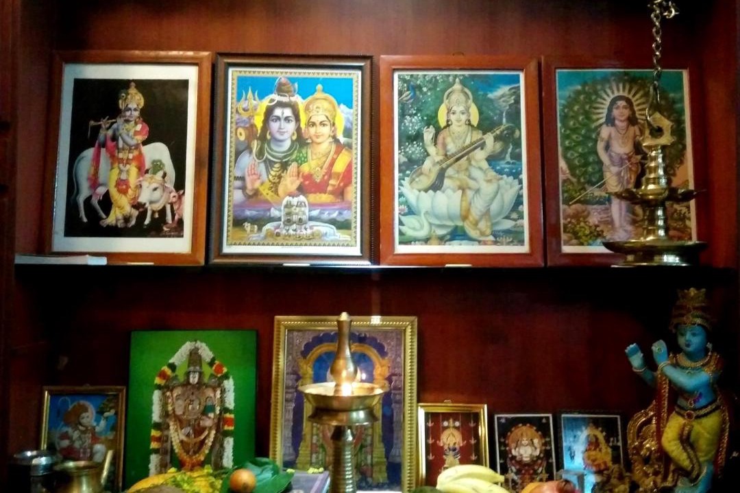 Photo of Others in Thamaraparambu