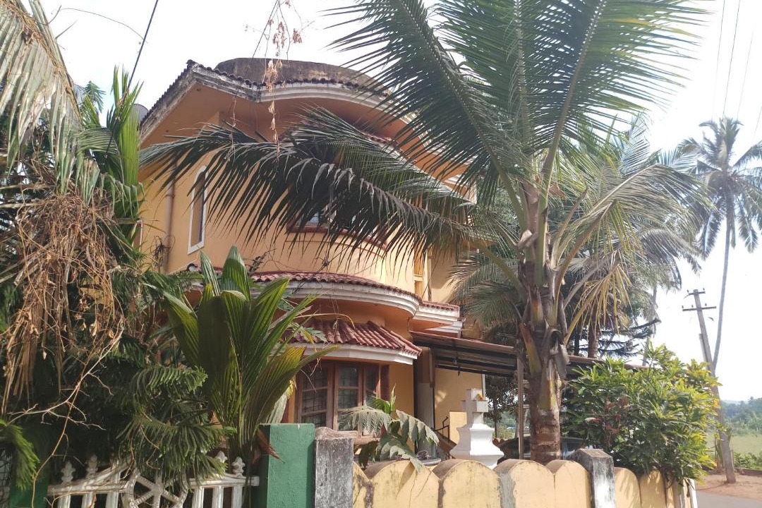Photo of Others in Sainagar