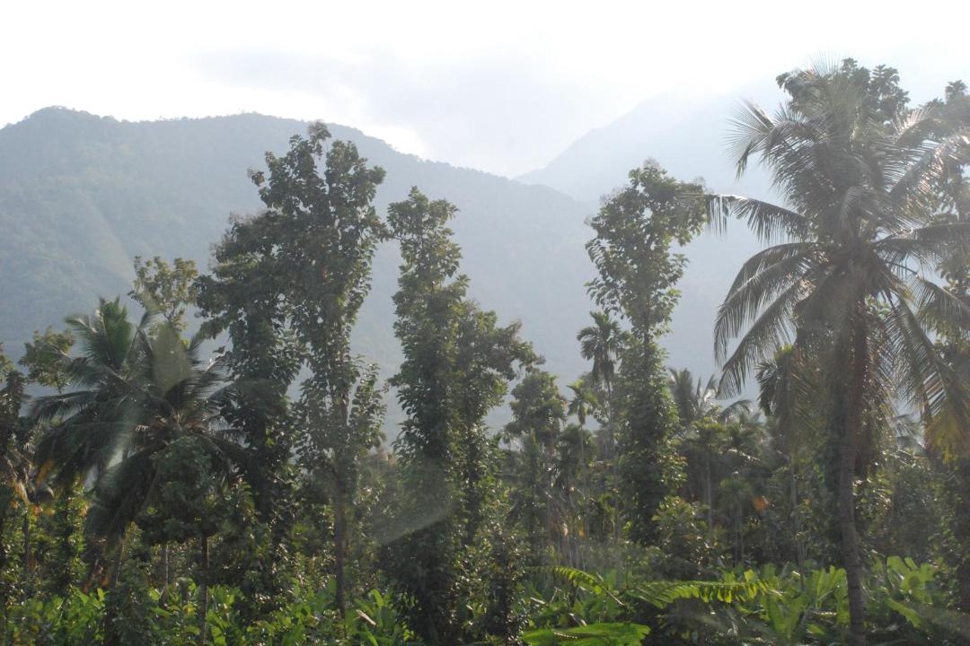 Photo of Others in Coonoor