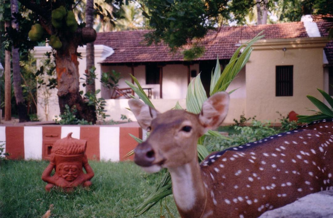 Photo of Others in Kumbakonam