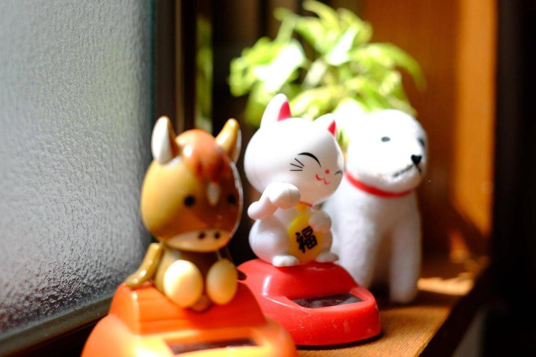 Photo of Others in Higashisumiyoshi-ku