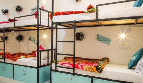 Deluxe Shared Dormitory, Mixed Dorm